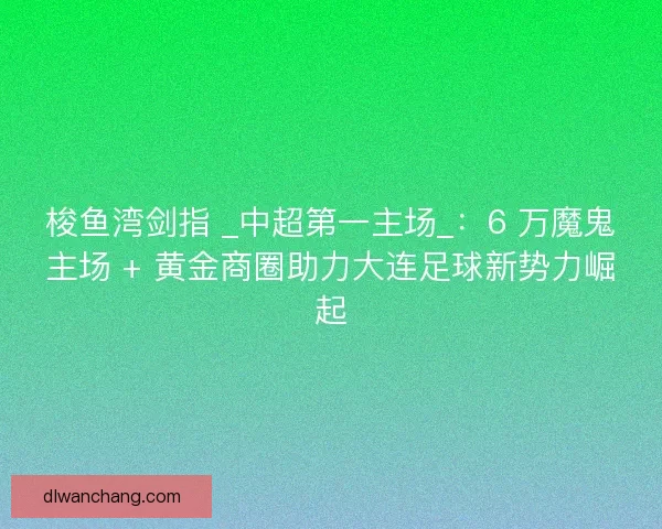 梭鱼湾剑指 _中超第一主场_：6 万魔鬼主场 + 黄金商圈助力大连足球新势力崛起