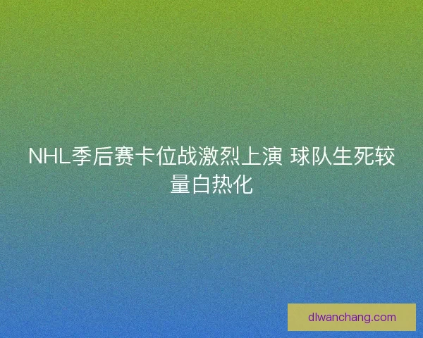 NHL季后赛卡位战激烈上演 球队生死较量白热化