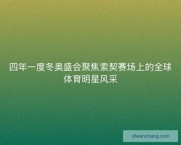 四年一度冬奥盛会聚焦索契赛场上的全球体育明星风采
