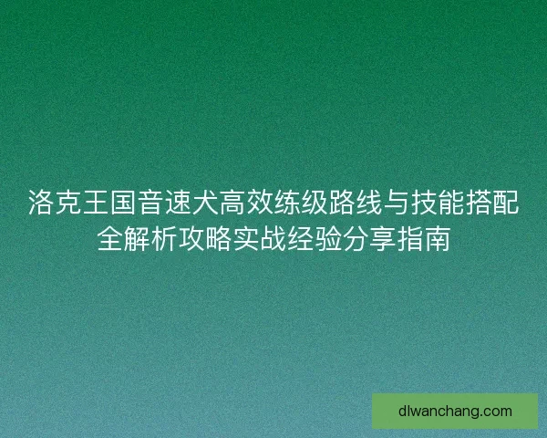 洛克王国音速犬高效练级路线与技能搭配全解析攻略实战经验分享指南